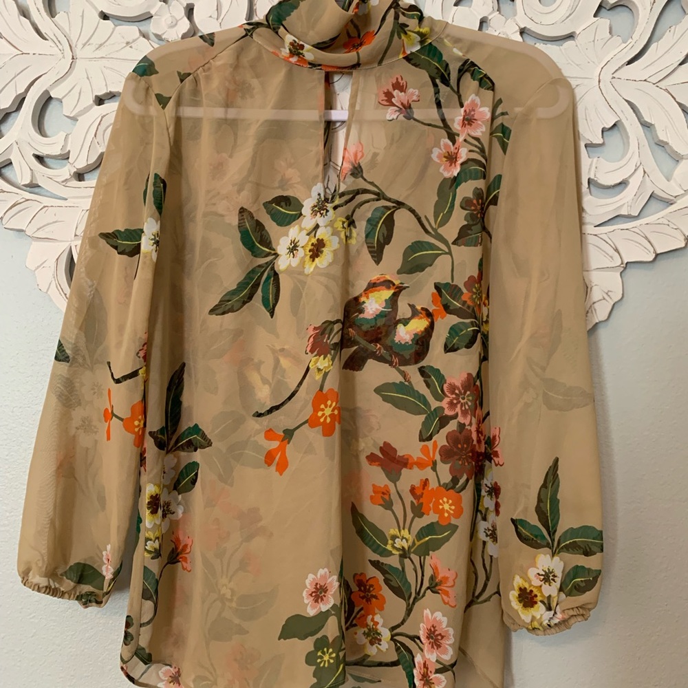 Sheer women’s blouse with tie back detail